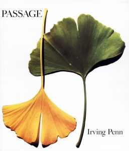 Passage / Irving Penn