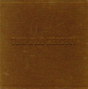 THIN WILD MERCURY -Touching Dylan's Edge / Jerry Schatzberg