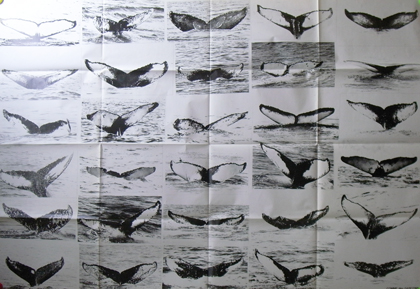 「COMME des GARCONS コムデギャルソン 特大ポスター（クジラの尾）」メイン画像