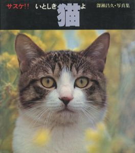 サスケ!!　いとしき猫よのサムネール