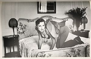 「HELUMUT NEWTON SPECIAL COLLECTION 24 PHOTO LITHOS / HELUMUT NEWTON　ヘルムート・ニュートン」画像2