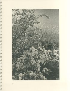 「FLOWERS and TREES / Lee Friedlander　」画像1