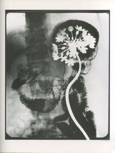 「hysteric NO.2 1991 Self-Portrait / 北村信彦, 綿谷修, 奈良原一高, 植田正治, 他」画像2