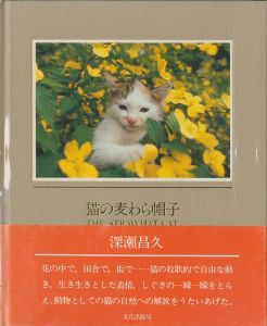 猫の麦わら帽子／深瀬昌久（THE STRAWHAT CAT／Masahisa Fukase)のサムネール