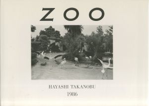 ZOOのサムネール