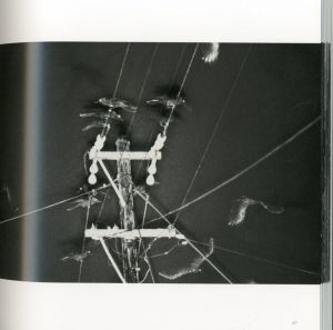 「 The Solitude of Ravens / Masahisa Fukase」画像2