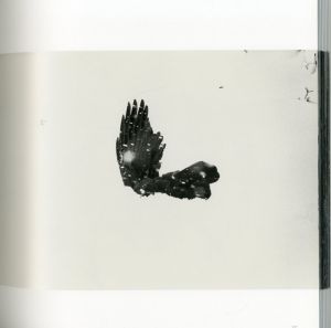 「 The Solitude of Ravens / Masahisa Fukase」画像3