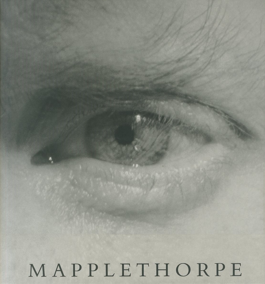 「Mapplethorpe / Robert Mapplethorpe」メイン画像