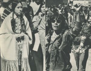 「アメリカ・インディアン―アメリカ合衆国先住民族の現状― / 著：豊崎博光」画像3