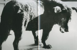 「DAIDO MORIYAMA　Fondation Cartier pour l'art contemporain / Daido Moriyama」画像1