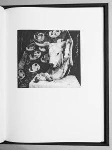 「Twelve Photographs / Author: Joel-Peter Witkin　Poem: Galway Kinnell」画像6