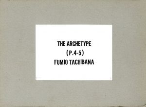 The Archtype (P.4-5)のサムネール