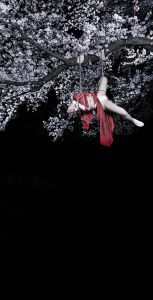 夜半桜　ED.2/5／Hajime Kinoko（Cherry Blossoms at Night／Hajime Kinoko)のサムネール