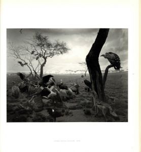 「HIROSHI SUGIMOTO (MORI ART MUSEUM 日本語版展覧会図録) / 杉本博司」画像1