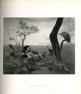 「HIROSHI SUGIMOTO 日本語版図録 / 杉本博司」画像1