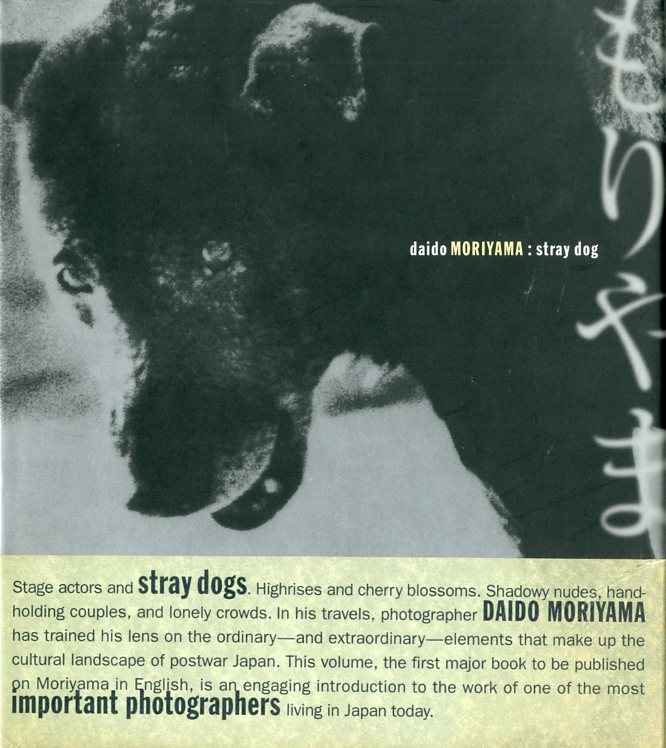 「stray dog / Daido Moriyama」メイン画像