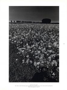 「Jeanloup Sieff: 40 Years of Photography / Jeanloup Sieff 」画像3