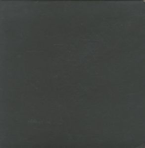 「エゴン・シーレ　油彩画・水彩・素描【豪華版】 / エゴン・シーレ」画像1