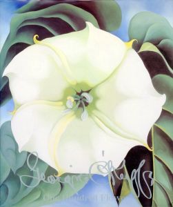 Georgia O'Keeffe: One Hundred Flowersのサムネール