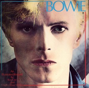 David Bowie: An Illustrated Record / Illustration: Roy Carr, Charles Shaar Murray