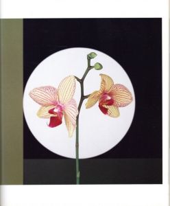「FLOWERS メイプルソープの花 / 写真：ロバート・メイプルソープ　文：パティ・スミス　翻訳：高野育郎」画像2