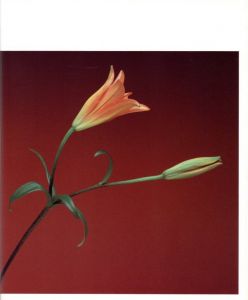 「FLOWERS メイプルソープの花 / 写真：ロバート・メイプルソープ　文：パティ・スミス　翻訳：高野育郎」画像3