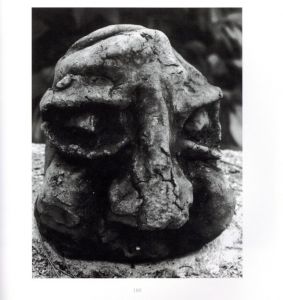 「山羊の肺 沖縄 1968-2005 / 平敷兼七」画像7