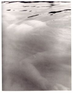 「BEAR POND / Bruce Weber」画像3