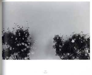 「Ailleurs 1969-1992 / Photo: Koichi Inakoshi Text: Haruki Murakami, Gabriel Bauret」画像4