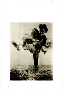 「Marta Astfalck-Vietz Photographien 1922-1935 / Marta Astfalck-Vietz 」画像2