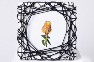 Flower in Bondage (M) ♯005 Ed.2/5のサムネール