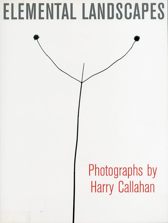 「ELEMENTAL LANDSCAPES: Photographs by Harry Callahan / Photo: Harry Callahan　Edit: Katherin Ware」メイン画像