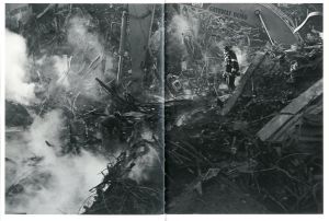 「stepping through the ashes / Photo: Euqene Richards　Interview: Janine Altongy」画像1