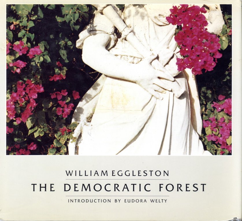 「WILLIAM  EGGLESTON THE DEMOCRATIC FOREST / Author: William Eggleston　Foreword: Eudora Welty」メイン画像