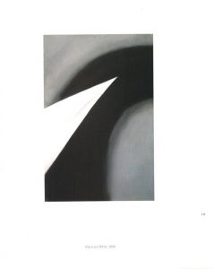 「TWO LIVES　A CONVERSATION IN PAINTINGS AND PHOTOGRAPHS / Author: Georgia O'keeffe, Alfred Stieglifz」画像3