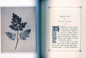 「THE PENCIL OF NATURE / Author: William Henry Fox Talbot　Foreword: Beaumont Newhall」画像4