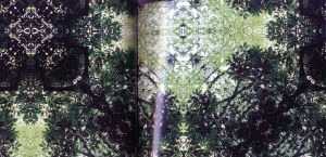 「prism / 著：大和田良　AD・デザイン：中島英樹」画像2