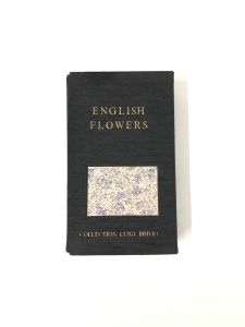 ENGLISH FLOWERSのサムネール