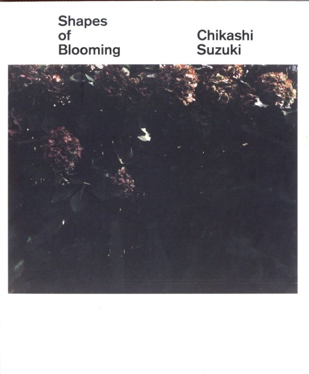 「Shapes of Blooming / 鈴木親」メイン画像