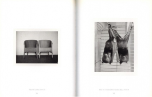 「Polaroids / Photo: Robert Mapplethorpe　Text: Sylvia Wolf」画像1
