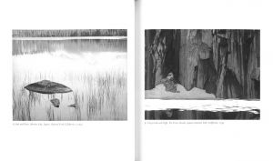 「Ansel Adams: Classic Images / Author: Ansel Adams　Text: John Szarkowski, James Alinder 」画像2