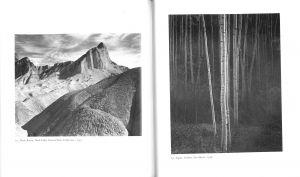 「Ansel Adams: Classic Images / Author: Ansel Adams　Text: John Szarkowski, James Alinder 」画像5