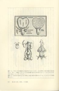 「セックスの発明　性差の観念史と解剖学のアポリア / 著：トマス・ラカー」画像1