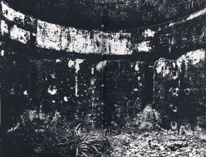 「地図 / 写真：川田喜久治　ブックデザイン：杉浦康平　パッケイジデザイン：石尾利朗　序文：大江健三郎」画像8