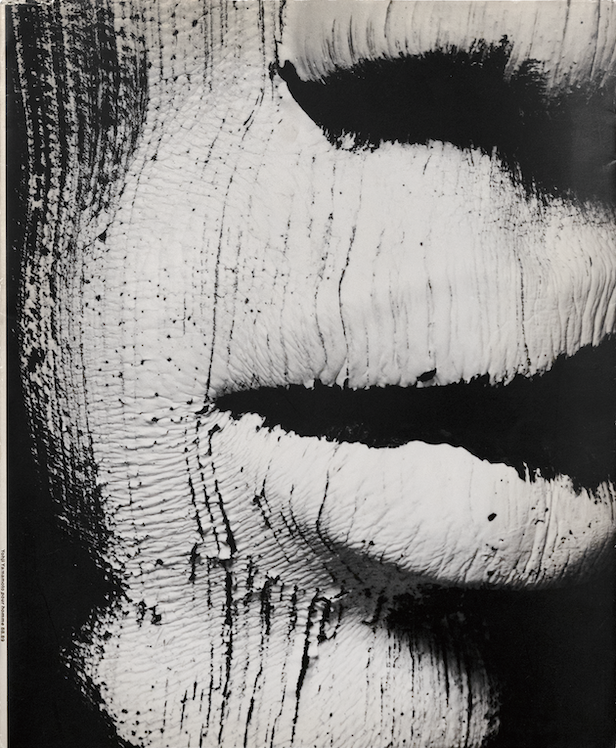 「Yohji Yamamoto pour homme Automne hiver 88.89 / 写真：ニック・ナイト　アート・ディレクション：マーク・アスコリ」メイン画像