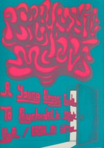 PSYCHEDELIC MODS  A Young Person's Guide to Psychedelic Music USA/CANADA Edのサムネール