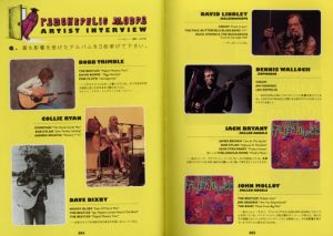 「PSYCHEDELIC MODS  A Young Person's Guide to Psychedelic Music USA/CANADA Ed / 編：山中明」画像1