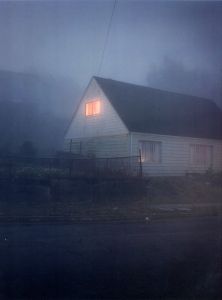 「HOUSE HUNTING TODD HIDO / Photo: Todd Hido　Text: A.m.Homes」画像5