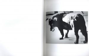 「Daido Moriyama 1965~ / 写真：森山大道　編：上田義彦」画像1