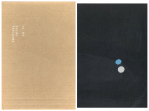 「'71-NY Daido Moriyama / 著：森山大道　デザイン：アレクサンダー・ゲルマン、アンドリュー・ロス」画像1